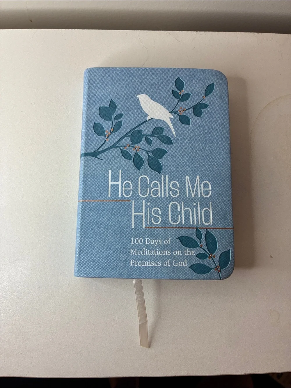 He Calls Me His Child 100 Days of Meditations on the Promises of God